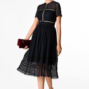 Gorgeous, feminine, navy and black lace cocktail dress with overlay (2x, plus)